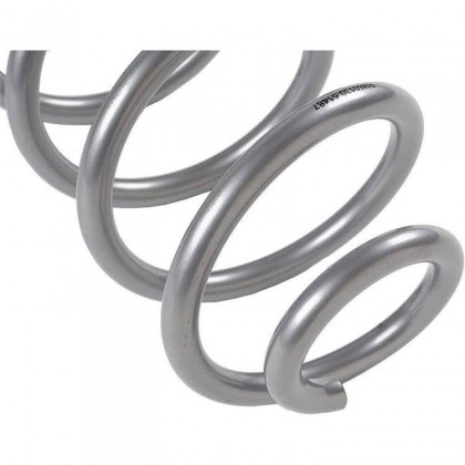 Rear coil springs Rubicon Express Lift 4,5"