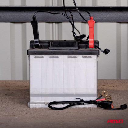 Nabíječka digitální AGM GEL STD LiFePo4 MAX 8A 12/24V PRO HOOK AMIO-04533