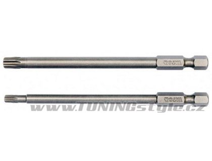 Sada bitů 1/4" 2 ks TORX L=100 mm T20, T305